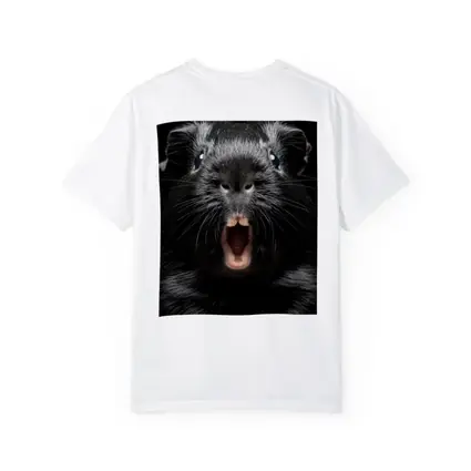 Black Guinea Pig Open Mouth Dark Background