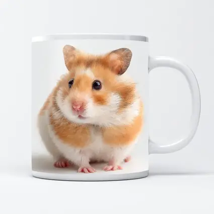 Fluffy Syrian Hamster On White Background