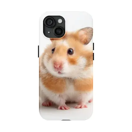 Fluffy Syrian Hamster On White Background