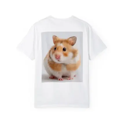 Fluffy Syrian Hamster On White Background