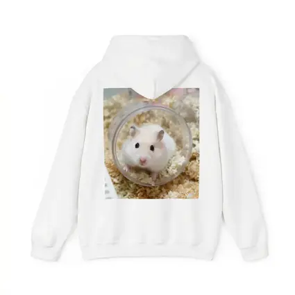 White Hamster Sitting Inside Clear Ball
