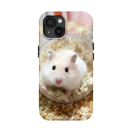 White Hamster Sitting Inside Clear Ball