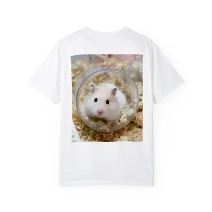 White Hamster Sitting Inside Clear Ball