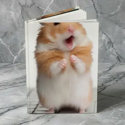 Surprised Hamster Standing On Keyboard White