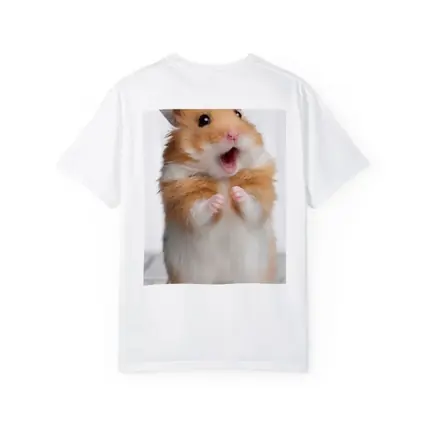Surprised Hamster Standing On Keyboard White