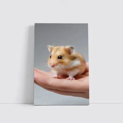 Cute Hamster Sitting On Human Hand