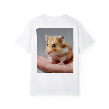 Cute Hamster Sitting On Human Hand