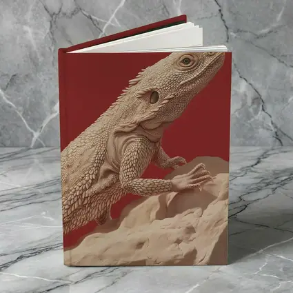 Bearded Dragon Lizard On Red Background