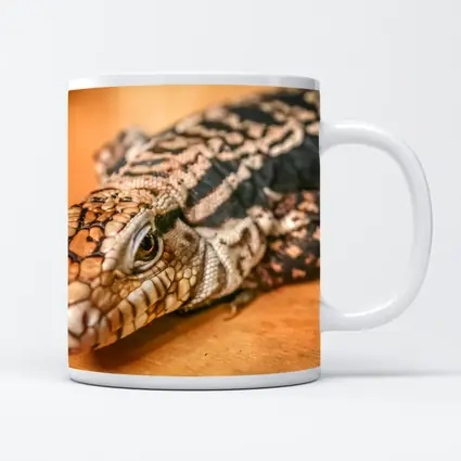 Argentine Black White Tegu Lizard Wood
