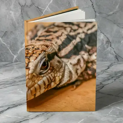 Argentine Black White Tegu Lizard Wood
