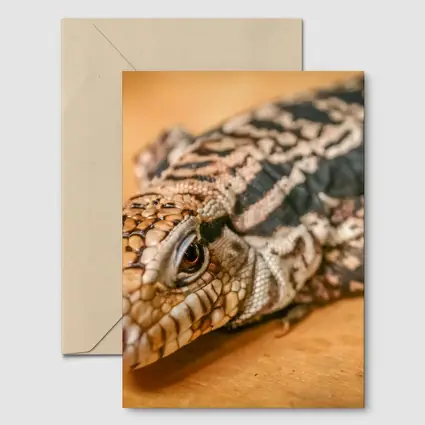 Argentine Black White Tegu Lizard Wood