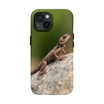 Brown Lizard Perched On Rock Outdoors