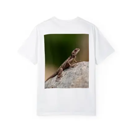 Brown Lizard Perched On Rock Outdoors