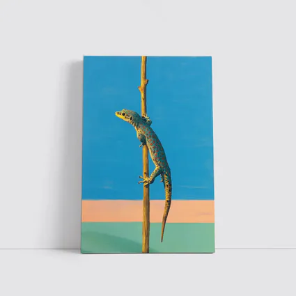 Gecko Climbing Stick Blue Minimalist Background