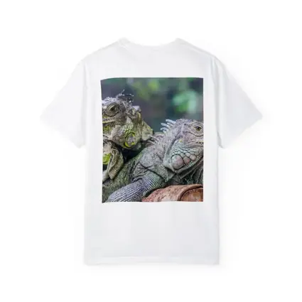 Two Green Iguanas Resting on Wood