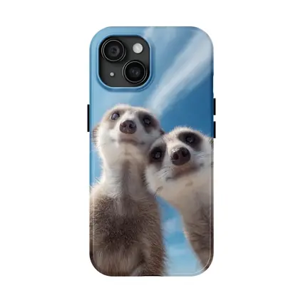 Two Meerkats Looking Up Blue Sky