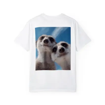 Two Meerkats Looking Up Blue Sky