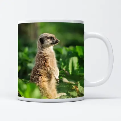 Meerkat Standing Alert In Green Foliage