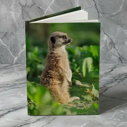 Meerkat Standing Alert In Green Foliage
