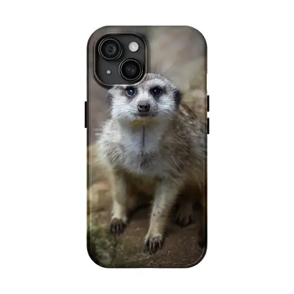 Meerkat Portrait Rocky Natural Habitat Background
