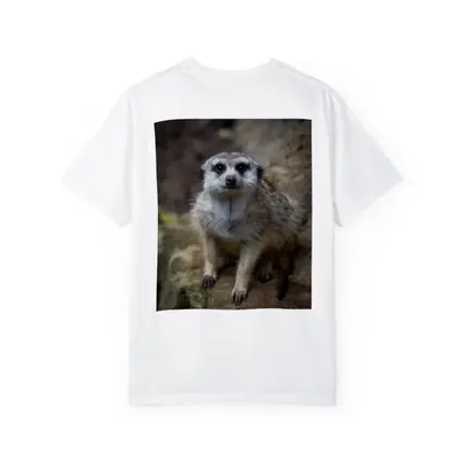 Meerkat Portrait Rocky Natural Habitat Background