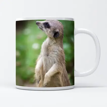 Meerkat Standing Alert Green Nature Background