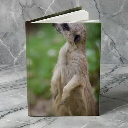 Meerkat Standing Alert Green Nature Background