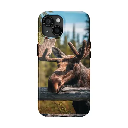 Bull Moose Resting on Wooden Fence Forest