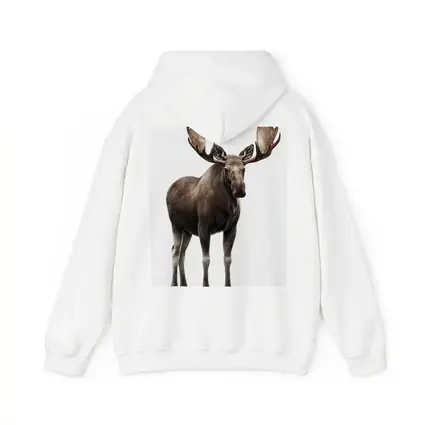 Bull Moose Standing On White Background