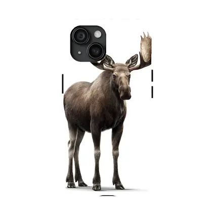 Bull Moose Standing On White Background