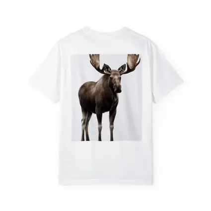 Bull Moose Standing On White Background