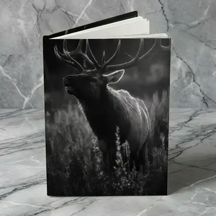Bull Elk Standing in Dark Meadow Grass
