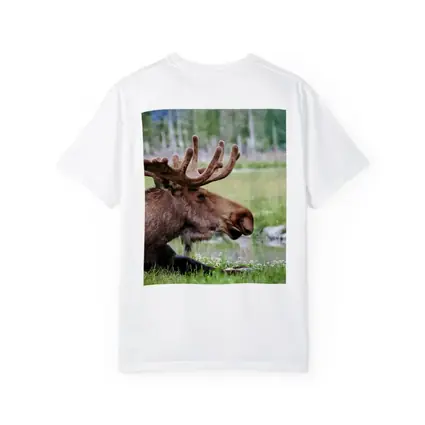Bull Moose Resting in Green Meadow
