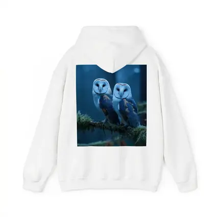 Two Barn Owls Perched Misty Blue Forest