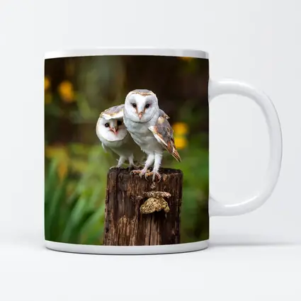 Two Barn Owls Perched On Wooden Post