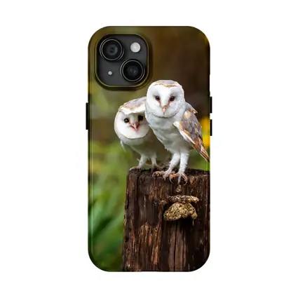 Two Barn Owls Perched On Wooden Post