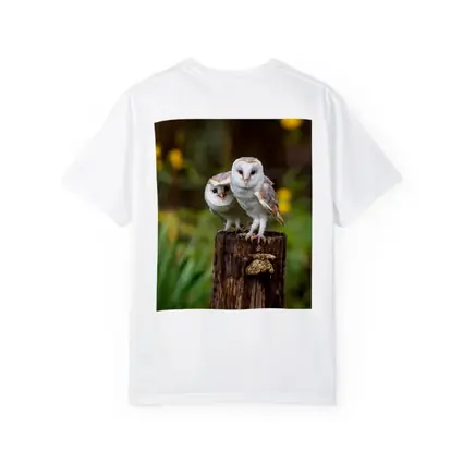 Two Barn Owls Perched On Wooden Post