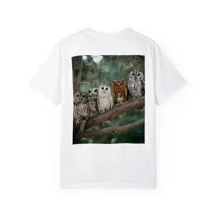Five Owls Perched On Branch Forest