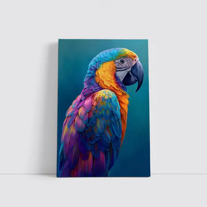Colorful Macaw Parrot On Teal Background