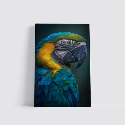 Blue Yellow Macaw Parrot Dark Background