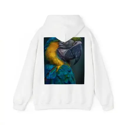 Blue Yellow Macaw Parrot Dark Background
