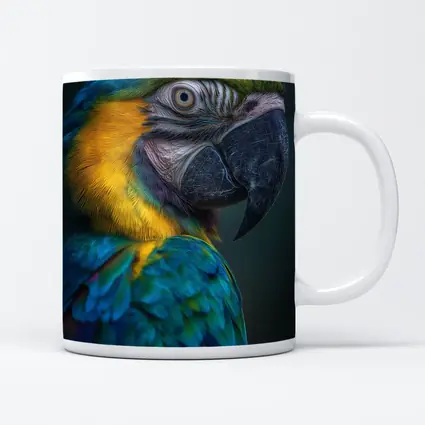 Blue Yellow Macaw Parrot Dark Background