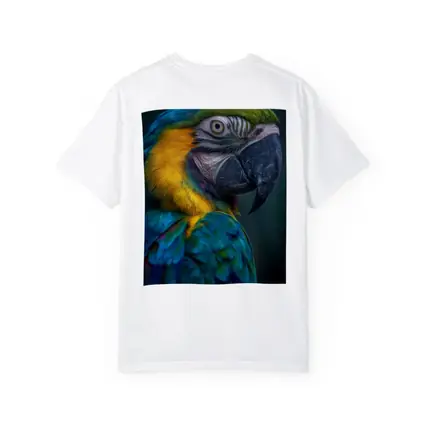 Blue Yellow Macaw Parrot Dark Background