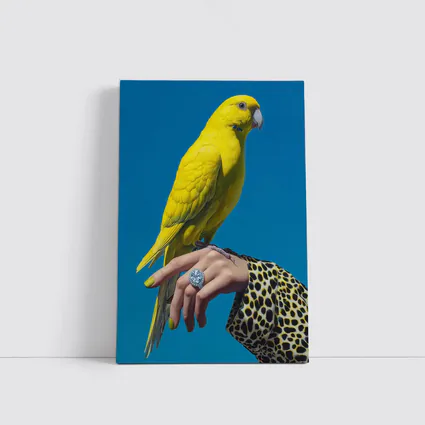 Yellow Parrot on Hand Blue Background