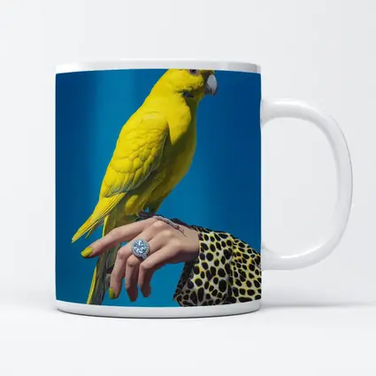 Yellow Parrot on Hand Blue Background