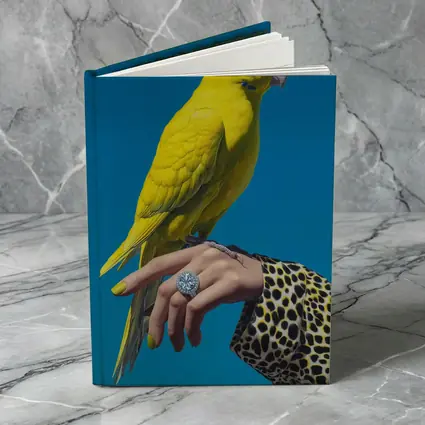Yellow Parrot on Hand Blue Background