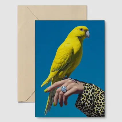 Yellow Parrot on Hand Blue Background