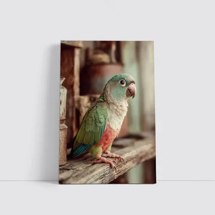 Green Parrot Perched on Rustic Wooden Shelf