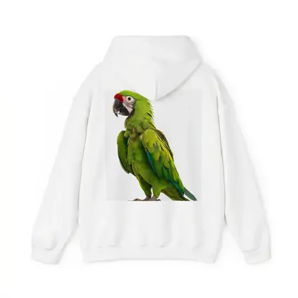Green Military Macaw Parrot White Background