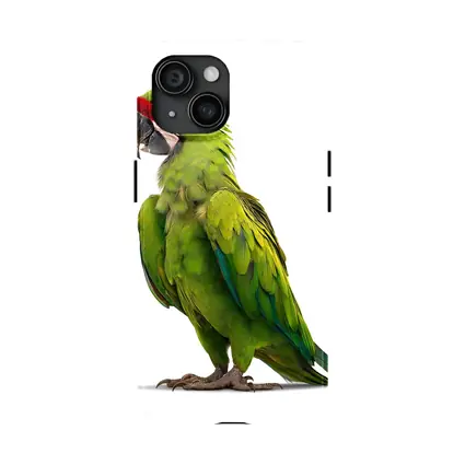 Green Military Macaw Parrot White Background